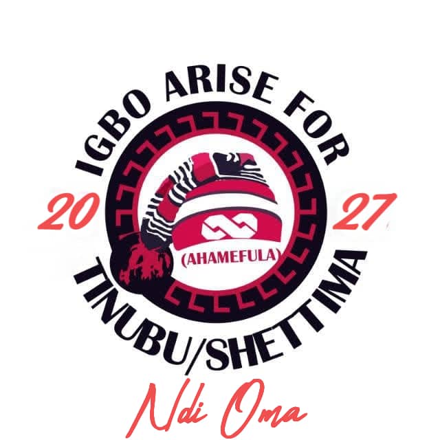 2027: Igbo group backs Tinubu/Shettima re-election, warns against division in APC