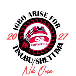2027: Igbo group backs Tinubu/Shettima re-election, warns against division in APC