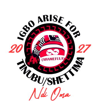 2027: Igbo group backs Tinubu/Shettima re-election, warns against division in APC