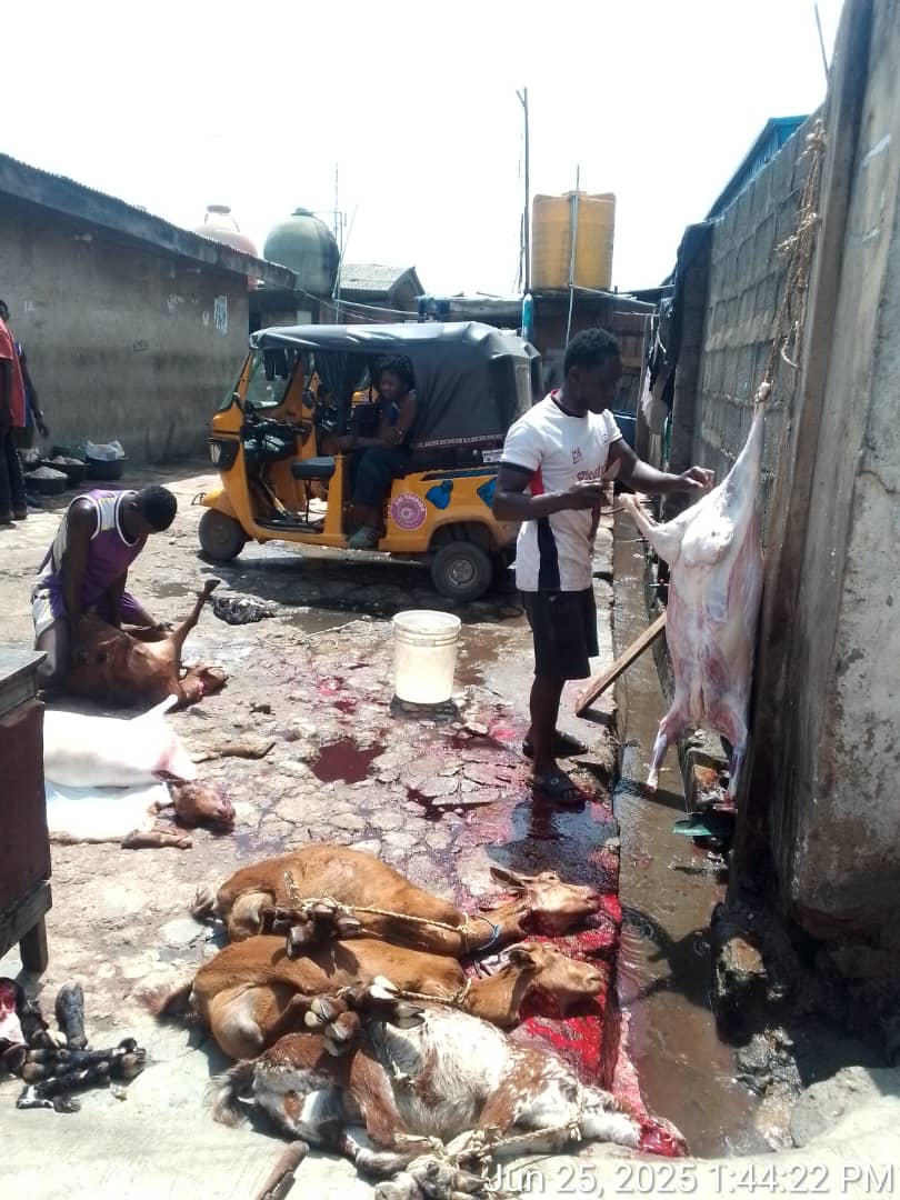 Unhygienic Practices: Lagos seals another illegal Abattoir in Agege, arrests four