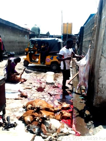 Unhygienic Practices: Lagos seals another illegal Abattoir in Agege, arrests four