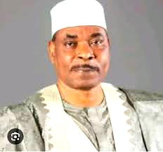 Super cop Adamu brings gravitas to Nasarawa’s 2027 race