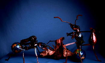 Immigr-ants: Intrinsic Fragment of ecology or medium for prejudice?