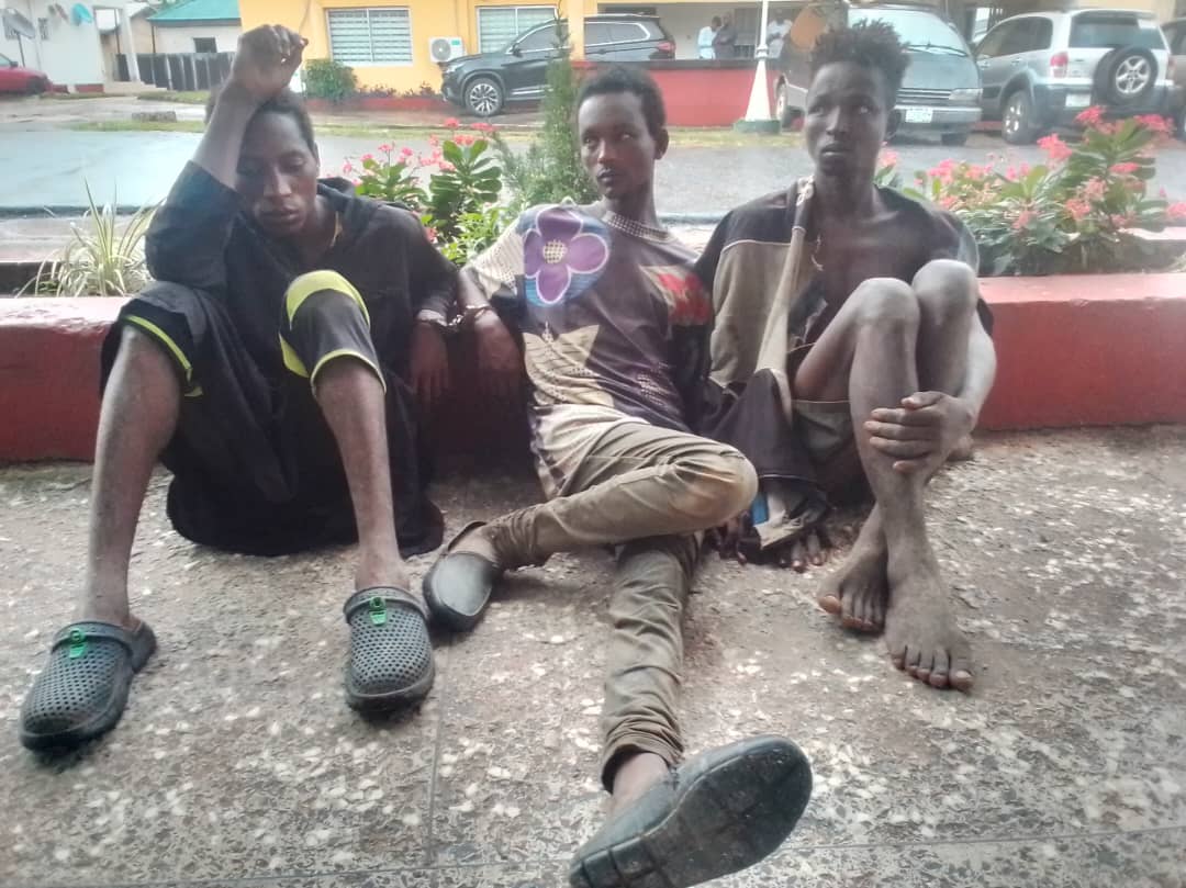 Security operatives arrest Fulani cattle rustlers in Abia, foil potential communal crisis