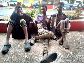 Security operatives arrest Fulani cattle rustlers in Abia, foil potential communal crisis