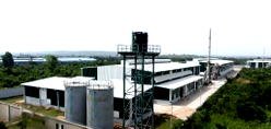 Neveah commences production at new 44,000 MT recycling plant in Ogun State