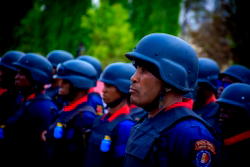 How to apply for 2025 civil defence, immigration, corrections, fire service jobs