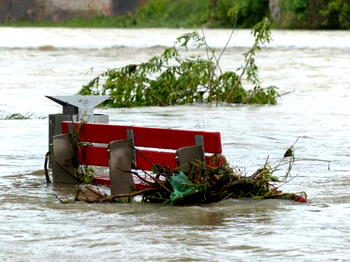 Flood kills 16, displaces hundreds in Indonesia