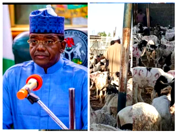 Eid al-Adha:State defence minister ,Matawalle donates 3,000 Rams to Zamafara