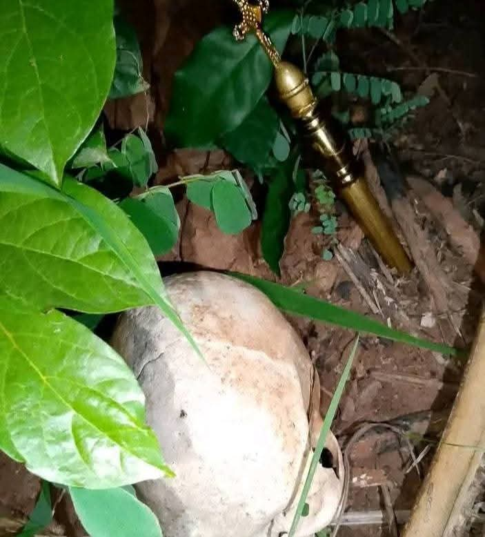 Police raid church in Enugu, recover human skull, ritual items