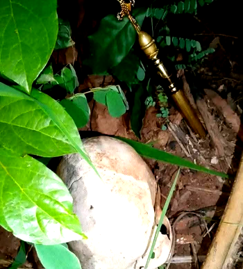 Police raid church in Enugu, recover human skull, ritual items