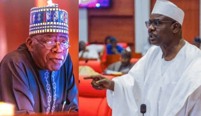 Ndume to Tinubu: 22 PDP govs endorsed Jonathan, yet he lost woefully