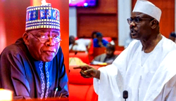 Ndume to Tinubu: 22 PDP govs endorsed Jonathan, yet he lost woefully