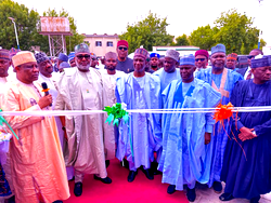 Minister commissions NEDC projects in Yobe