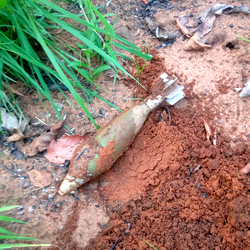 Protests in Enugu over discovery of live explosive on farmland