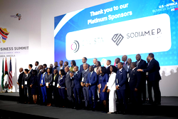 Investment: Why we’re leading drive for increased U.S.-Africa business – Olayomi, Cavista Holdings ED