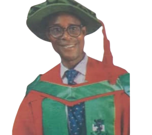 I am serving my bosses and colleagues, says Ebonyi Varsity lecturer who rose from yam-pounder to HOD