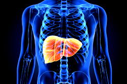 7 everyday habits slowly damaging your liver