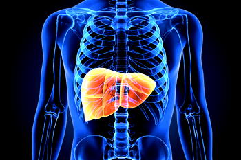 7 everyday habits slowly damaging your liver