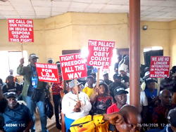 Ibusa Youths Councill are not pawns for political manipulation  –  Otu-Odogwu