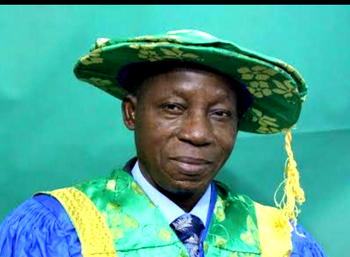 A Dove’s peaceful landing