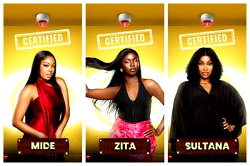 BBNaija 10: Meet all 15 female housemates