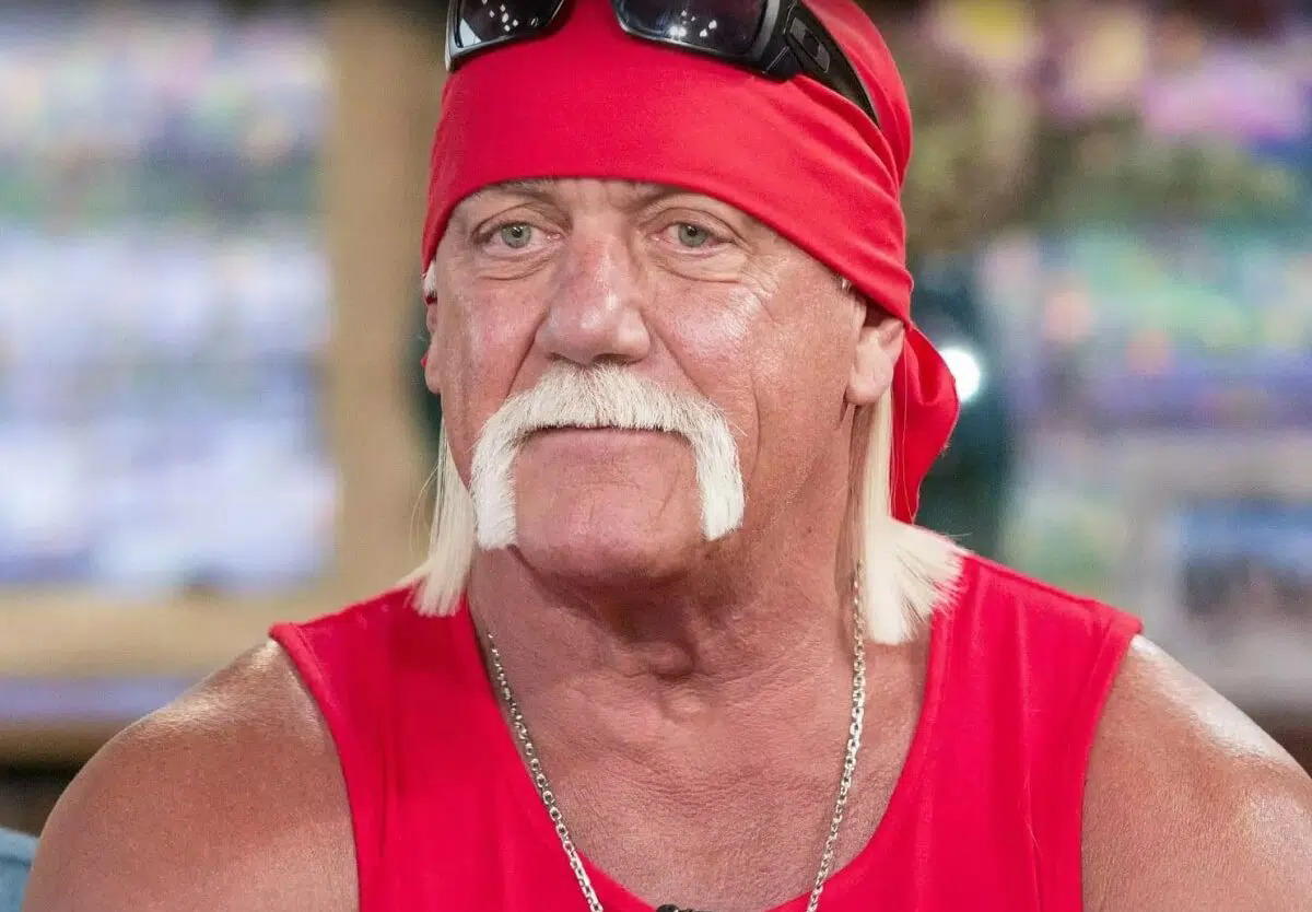 Wrestling legend, Hulk Hogan dies at 71 - Vanguard News