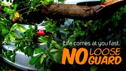 ‘No loose guard’: Changing how we think about risk