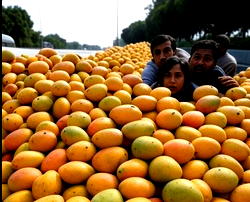 Mangoes kill 9 workers, injure 11 as lorry overturns