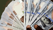 Naira now N1,395/$ in parallel market