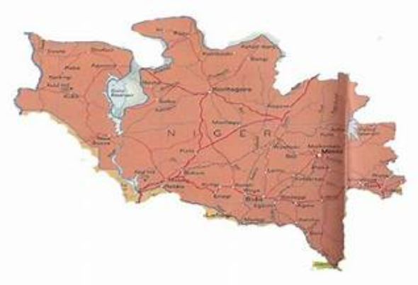 Planned LG poll in Niger illegal, unconstitutional — Rights Group warns
