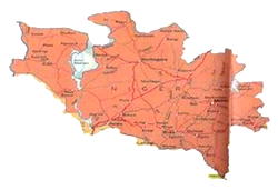 Planned LG poll in Niger illegal, unconstitutional — Rights Group warns
