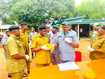 Ogun Customs seizes cannabis sativa worth N172m hidden in truck
