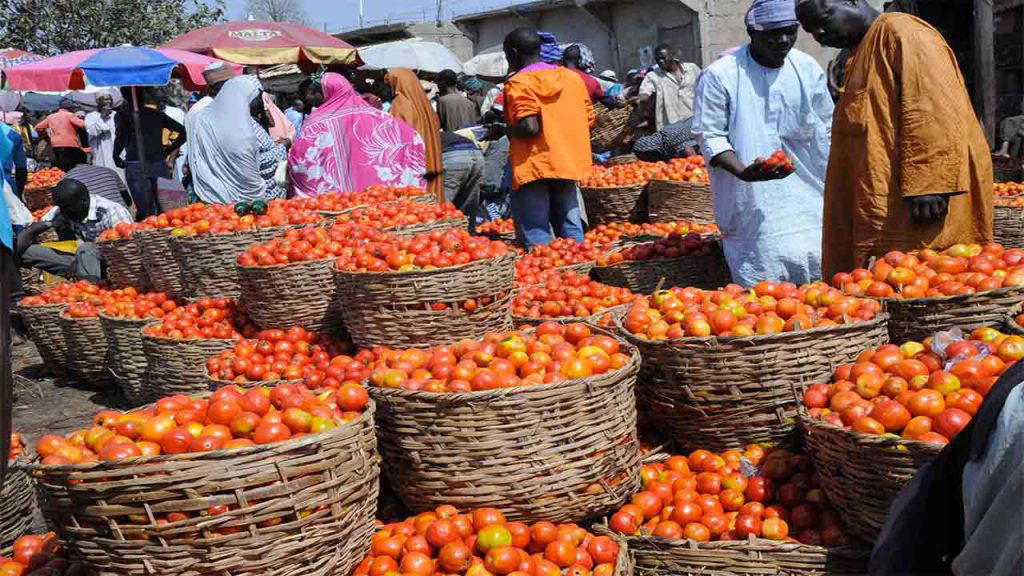 Poverty: Food vendors add colouring to blended tomatoes