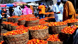Poverty: Food vendors add colouring to blended tomatoes 