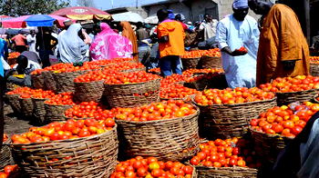 Nestle’s regenerative farming project tackles food security, climate challenges