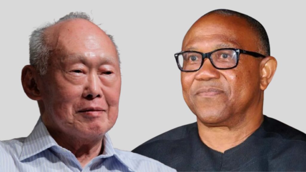 Delete your joke - Onanuga blasts influencer for comparing Obi to Lee Kuan Yew