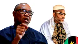 ‘It makes no sense’ —  Obi questions Nnamdi Kanu’s continued detention
