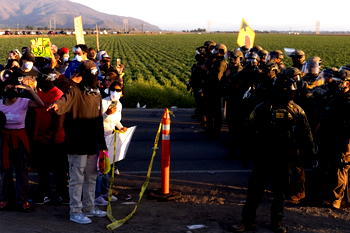 Worker in critical condition after US immigration raid on California farm