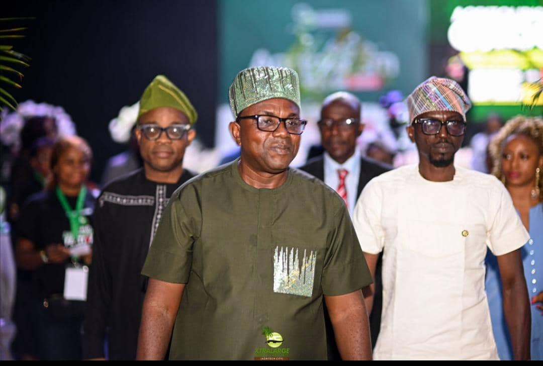 Experts, diaspora leaders, state officials champion agric-tourism integration to drive food security