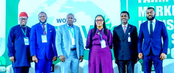 World Cassava Day: NCIA sparks dialogue on cassava investment and industrialisation