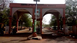 Boko Haram threatens to kill me after murdering my father, friend in Nigeria – Ex-media worker