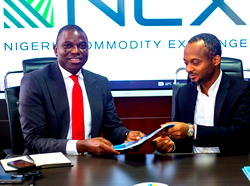 AltBank, NCX move to tackle food insecurity, reshape commodities trade
