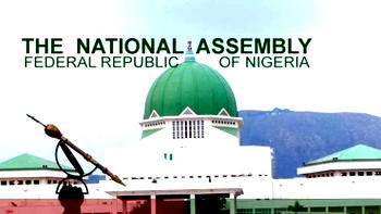 Much ado about Indigeneship Bill