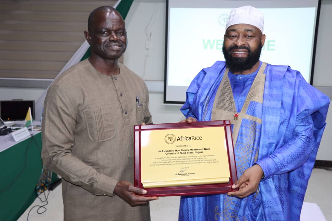 Niger state partners with AfricaRice to revolutionize rice production