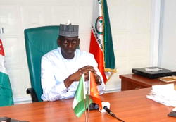 Reps Committee probes alleged abandonment of Nigerian workers in CAR