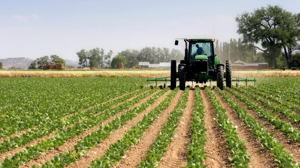 FG decries $10bn annual food import bill, urges innovative agric finance