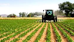 Sampong calls for innovation across agriculture at Yale Model African Union Conference