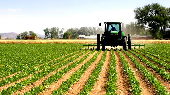 Why agriculture must wear a new face — Xtralarge boss