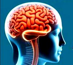 Brain drain, burnout threat to Nigeria’s health sector — PHSAI